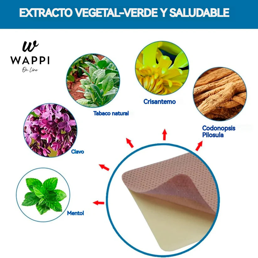 🚭 Parche Antitabaco Transdérmico 21mg – 3 Cajas (30 Parches) 🌿🚭