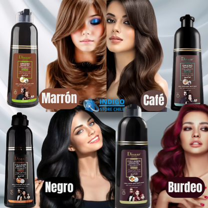 SHAMPOO COLORANTE TINTE CUBRE CANAS