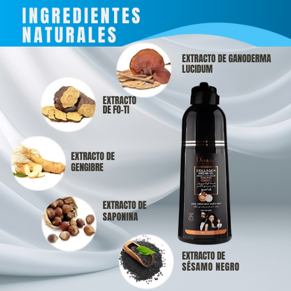 SHAMPOO COLORANTE TINTE CUBRE CANAS