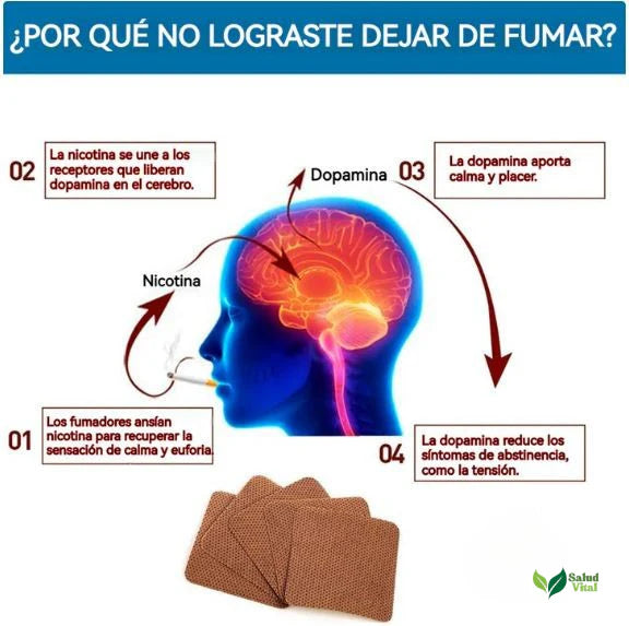 🚭 Parche Antitabaco Transdérmico 21mg – 3 Cajas (30 Parches) 🌿🚭
