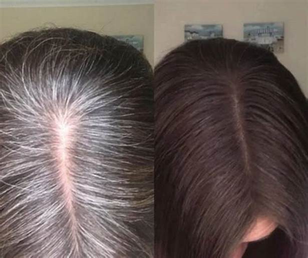 SHAMPOO COLORANTE TINTE CUBRE CANAS