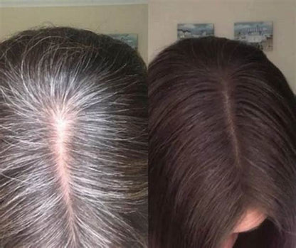 SHAMPOO COLORANTE TINTE CUBRE CANAS